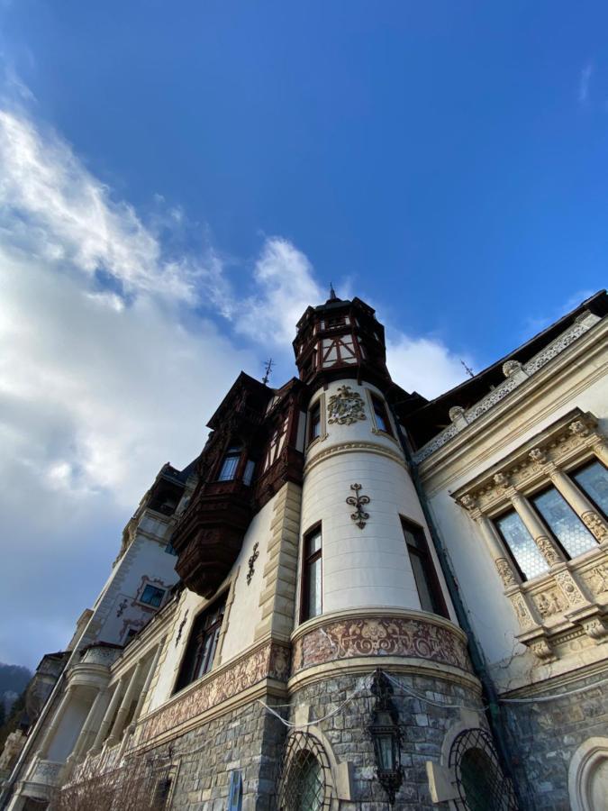 Vila De Argint Aleea Pelesului Nr 2 ซินายา ภายนอก รูปภาพ