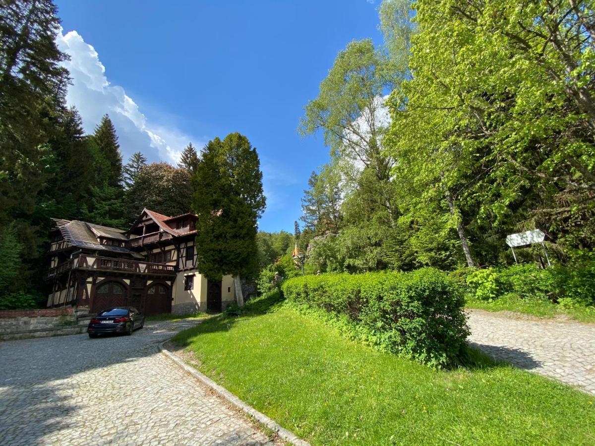 Vila De Argint Aleea Pelesului Nr 2 ซินายา ภายนอก รูปภาพ