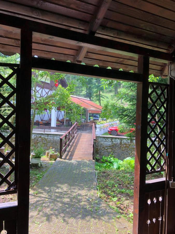 Vila De Argint Aleea Pelesului Nr 2 ซินายา ภายนอก รูปภาพ